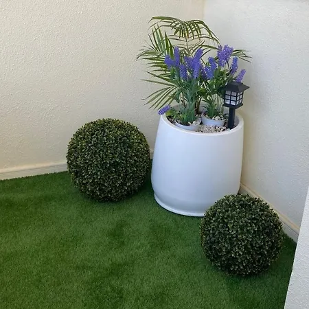 Excellence In Your Holidays ,begin With The Small Details * Playa Paraiso (Tenerife)